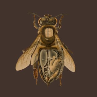 Anatomy of a Bee T-Shirt