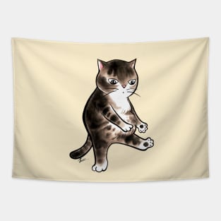 Fat cat aerobic dance Tapestry