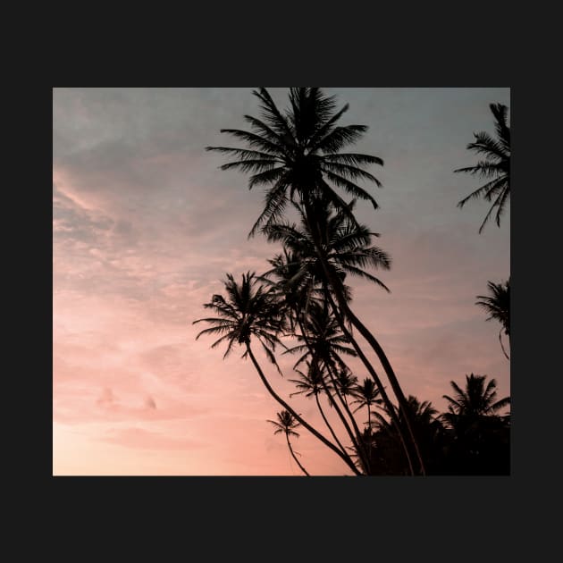 Sunset palmtrees by ColorsHappiness