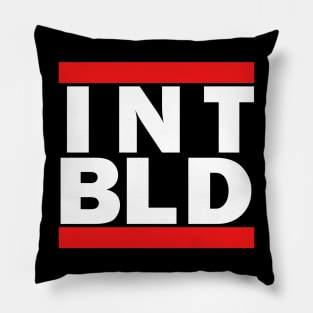 Intelligence Build (INT) Pillow