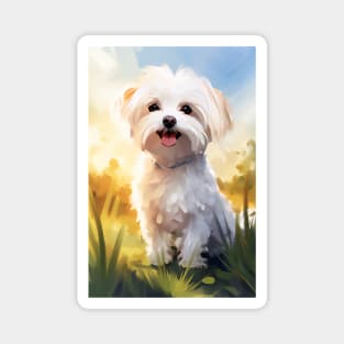 Adorable Maltese Dog on a Sunny Day Magnet