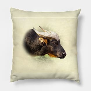 African forest buffalo Pillow