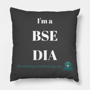 BSE DIA Pillow