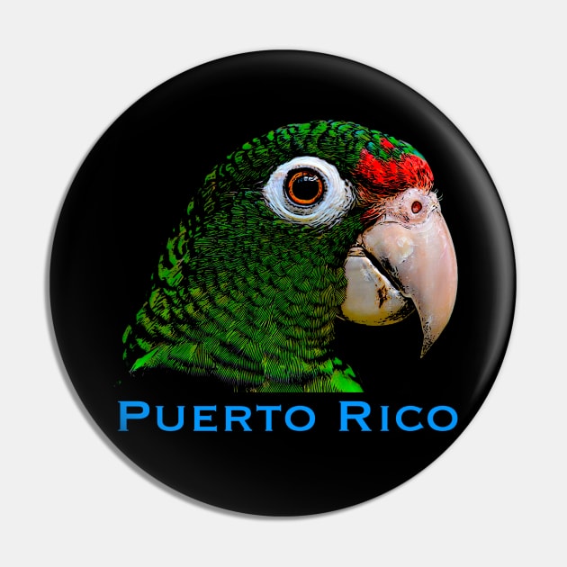 Puerto Rican Parrot Pin by SoLunAgua