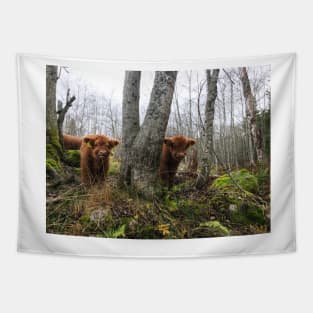 Scottish Highland Cattle Calves 1577 Tapestry