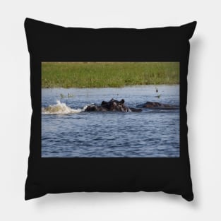 Hippopotamus in the Okavango Delta in Botswana Pillow