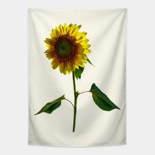 Sunflower Standing Tall Tapestry