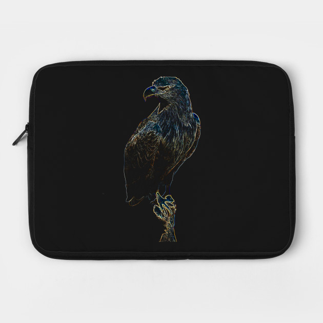 Eagle colored