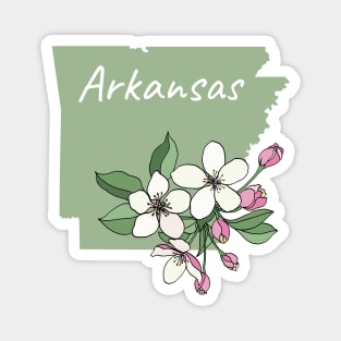 Arkansas Apple Blossom Magnet