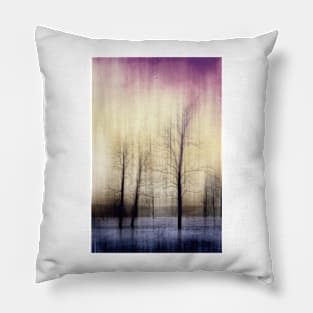 Winter - nature art Pillow