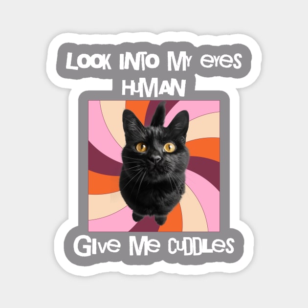 Look into my eyes, give me cuddles cat lover Magnet by Alisia's Store 1