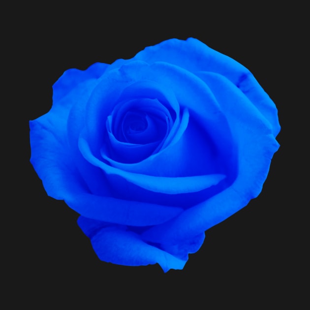 Blue Rose beautiful small design by ClothedCircuit