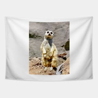 Meerkat Tapestry