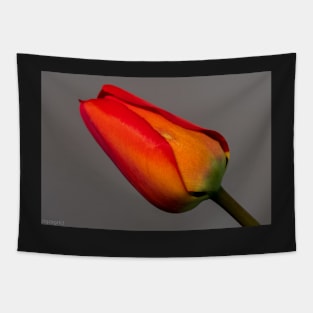 Red Tulip Tapestry