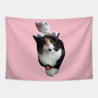 The Cat Stack - a cat with a plush cat stacked on top of it Tapestry