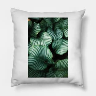 Green Hawaiian Leaves II Pillow