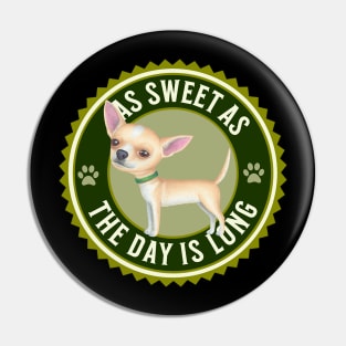 funny cute fur baby Chihuahua Dog sweet chi  dog Pin