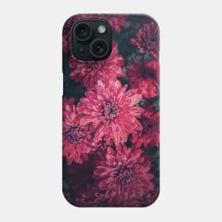 Top view cardinal chrysanthemums texture Phone Case