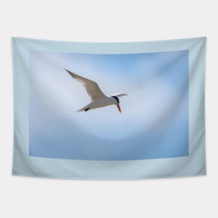 Royal Tern In Flight Tapestry