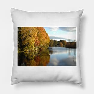 A Touch of Autumn Pillow