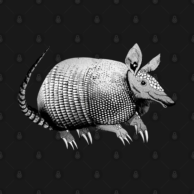 Cute Armadillo by Dual Rogue