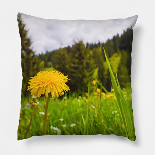 Carpathians vegetation Pillow by psychoshadow