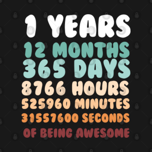 1 Years 12 Months 365 Days 8766 Hours 525960 Minutes 31557600 Seconds of Being Awesome t shirt