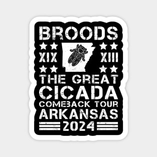 Great Cicada Comeback Tour Arkansas 2024 Cicada broods XIII and XIX in Arkansas Magnet