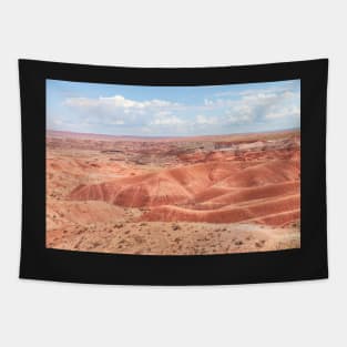 Painted Desert Tapestry