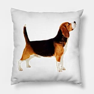 Cute Stacked Beagle Pillow