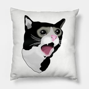 Crying Cat Meme Pillow