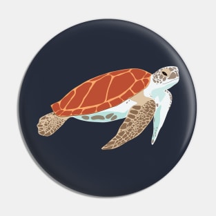 turtle illustration Pin