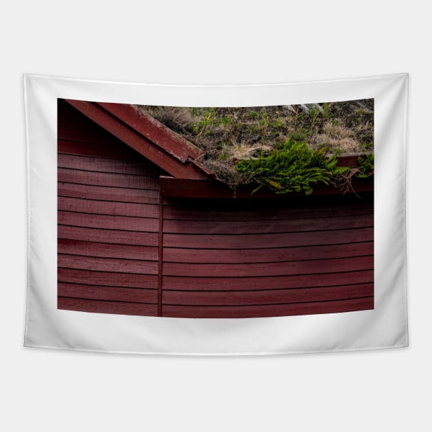 The Scandinavian House Tapestry by arc1