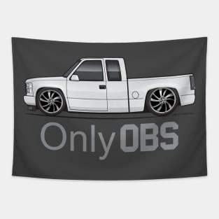 Only OBS Tapestry