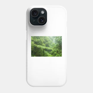 Misty rainforest in Monteverde cloud forest reserve Phone Case