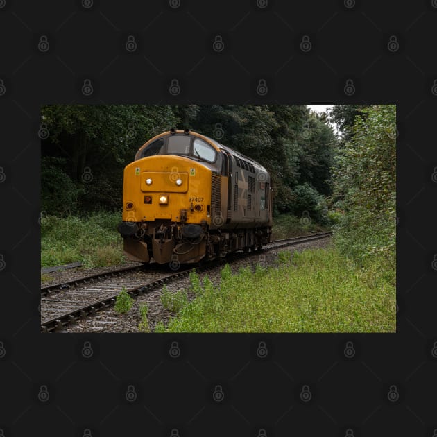 Class 37 british railways Loco by Robert john