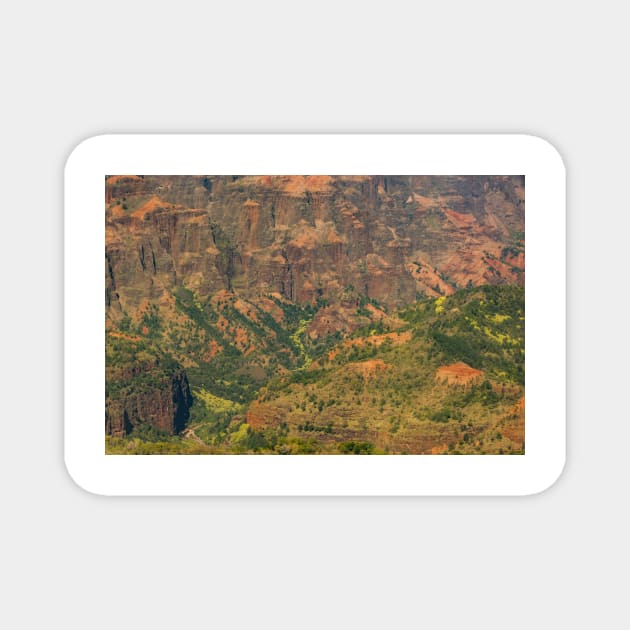 Waimea Canyon Of Kauai Magnet by KensLensDesigns