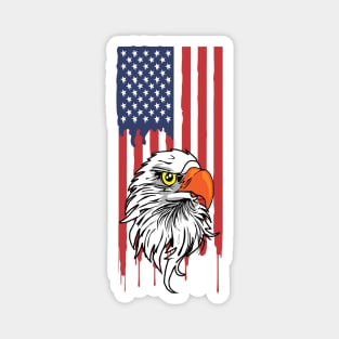 America Flag and USA Eagle Magnet