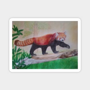 Red Panda Magnet