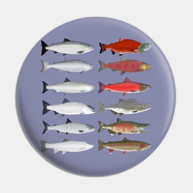 Pacific Ocean Salmon - Ocean and Spawn Stages Pin by FishFolkArt