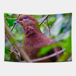 The Brown Cuckoo Dove Tapestry