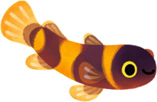 Bumblebee goby Magnet