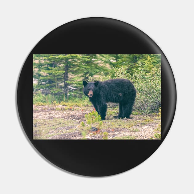 Mother Bear Pin by jvnimages