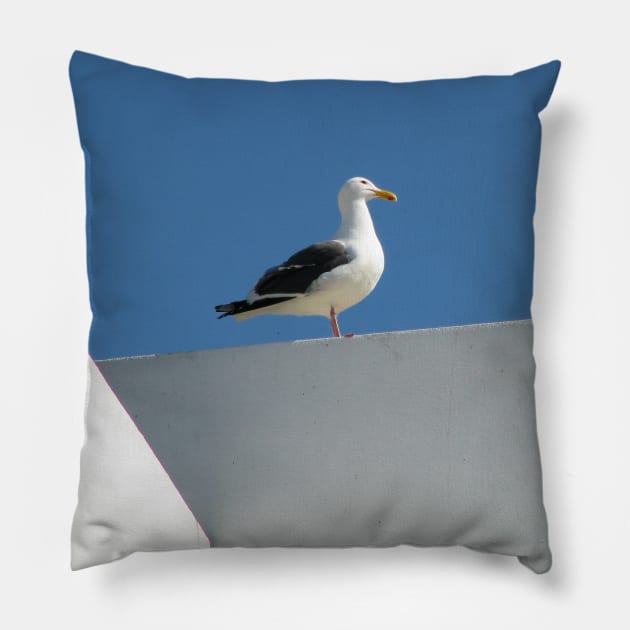 Up on the roof Pillow by FriendlyComputerHelp