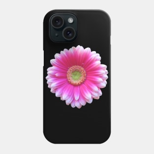 gerbera flower, daisies, gerberas, daisy, bloom Phone Case