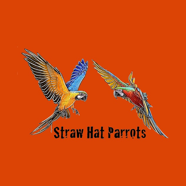 Straw Hat Parrots Luffy and Zoro: Color by Straw Hat Parrots