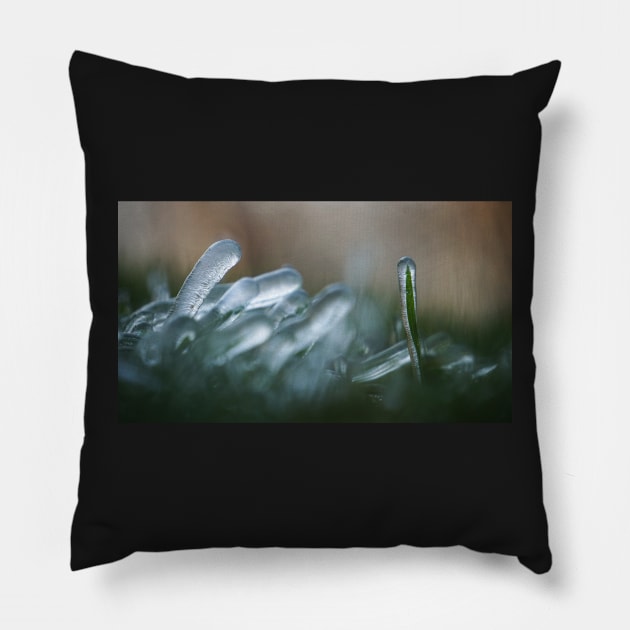 Frozen Grass Blades Pillow by 1Redbublppasswo