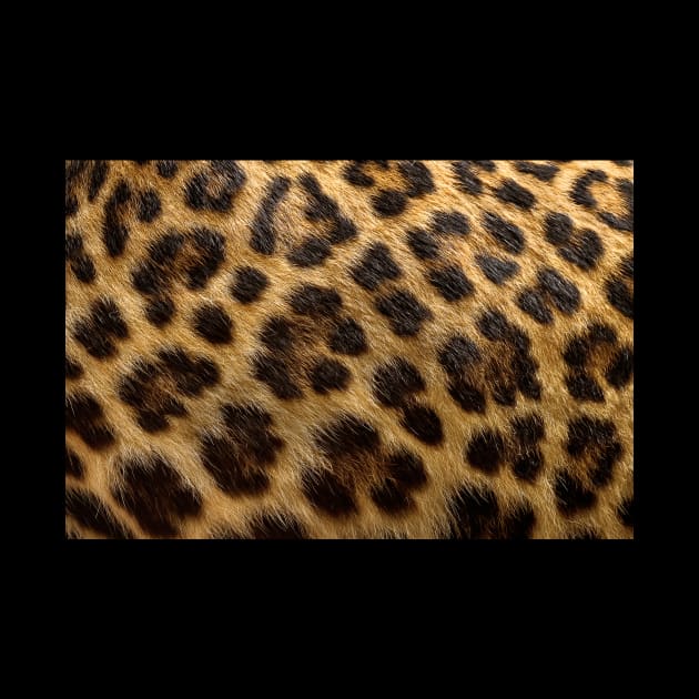 Leopard Print Fur Skin Exotic Animals Spots Cheetah by queensandkings