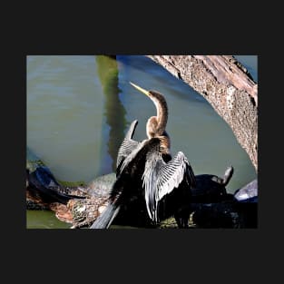 Anhinga T-Shirt