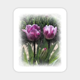 Soft Purple Pattern Tulips Magnet